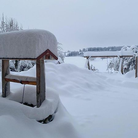 Trollenhof Im Allgaeu - Ferienwohnungen Saeuling Ruckholz Ngoại thất bức ảnh