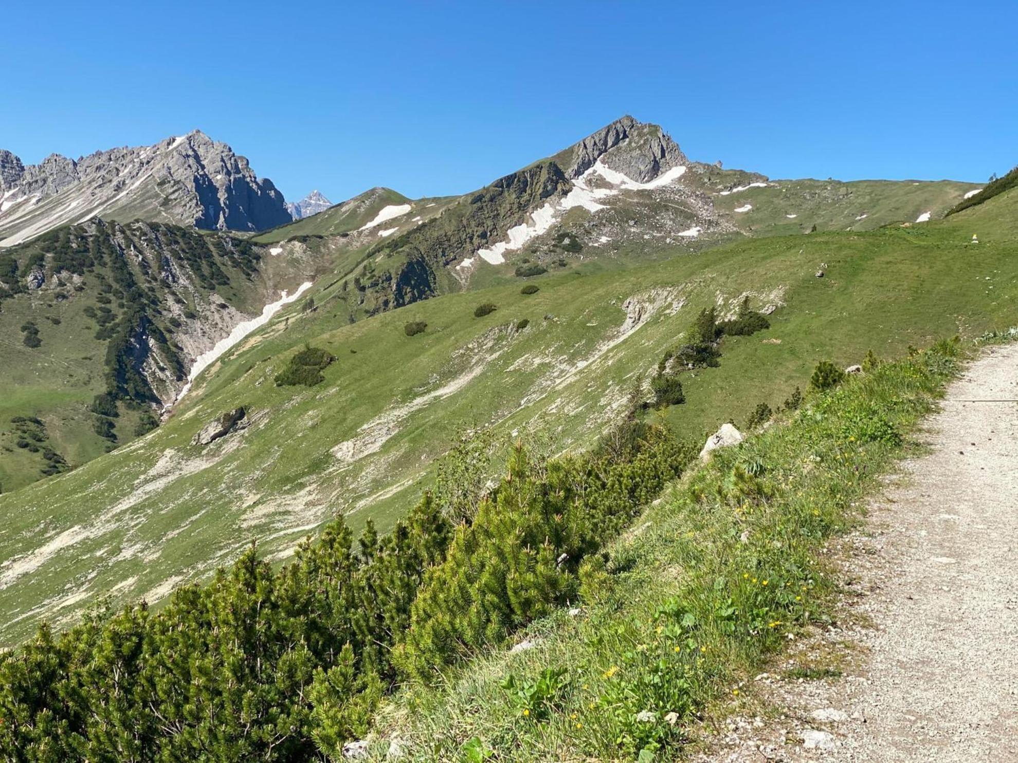 Trollenhof Im Allgaeu - Ferienwohnungen Saeuling Ruckholz Ngoại thất bức ảnh